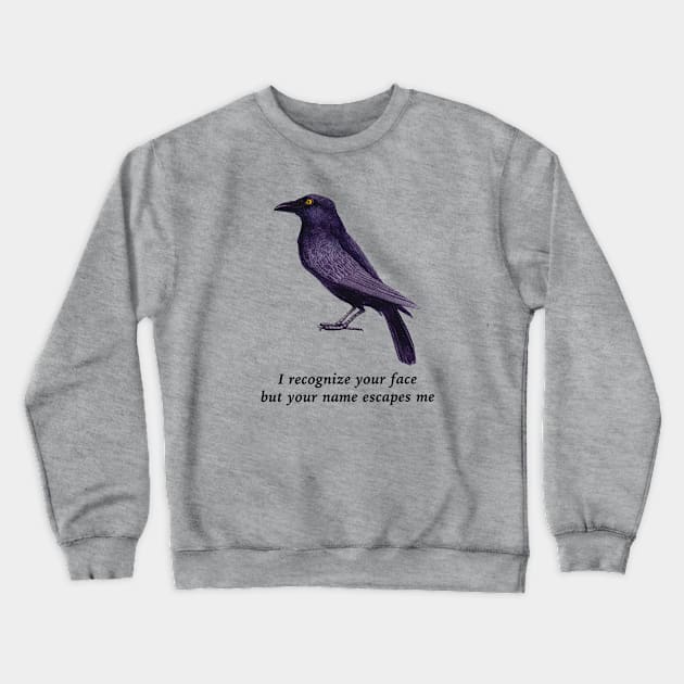 Crows Are Smart, Facial Recognition Joke Crewneck Sweatshirt by Pine Hill Goods